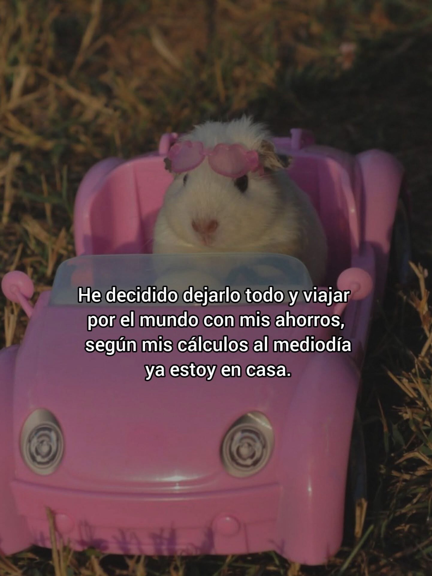 @Tita 🦋