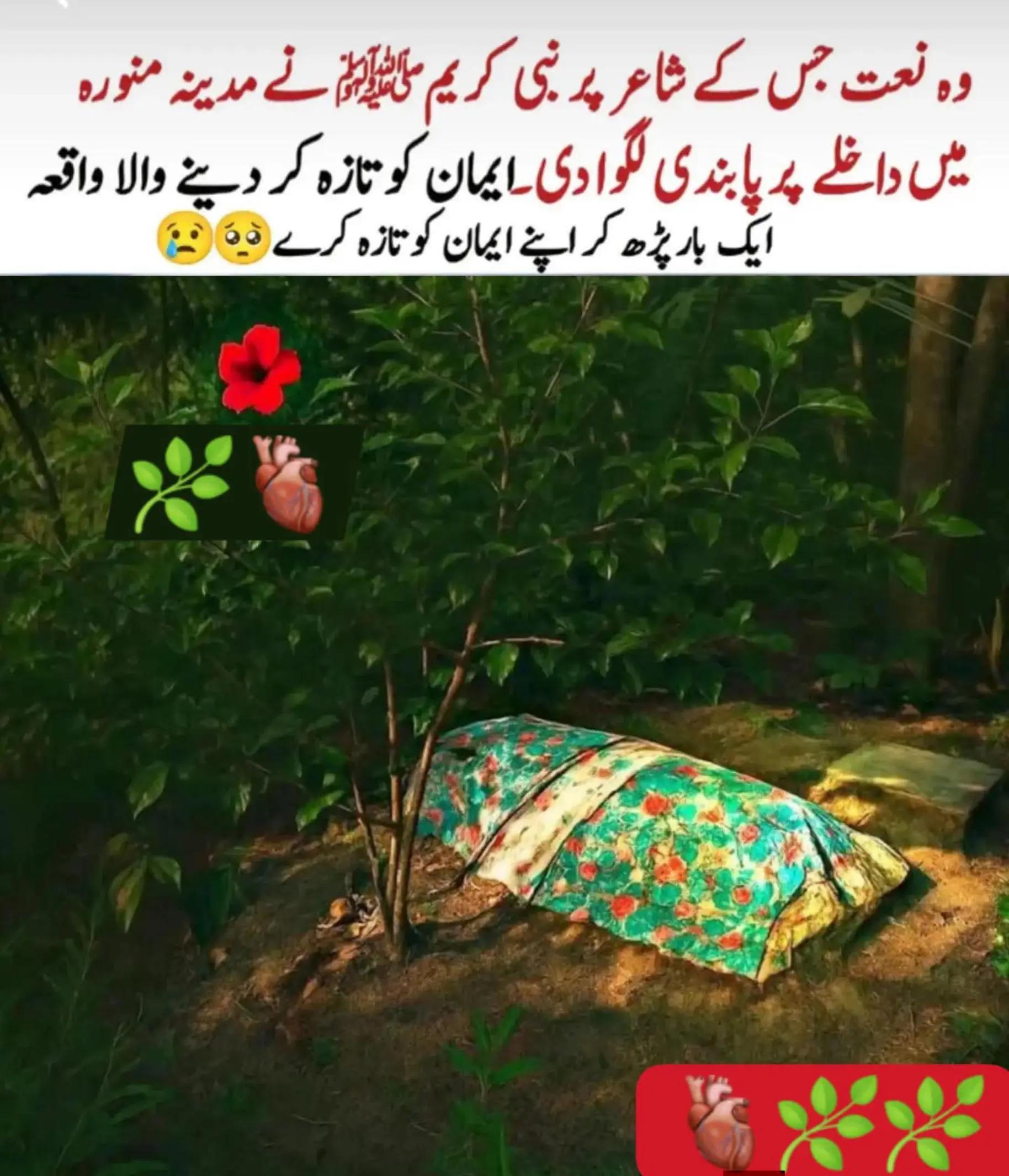 @Zikr.Aur.Fikr