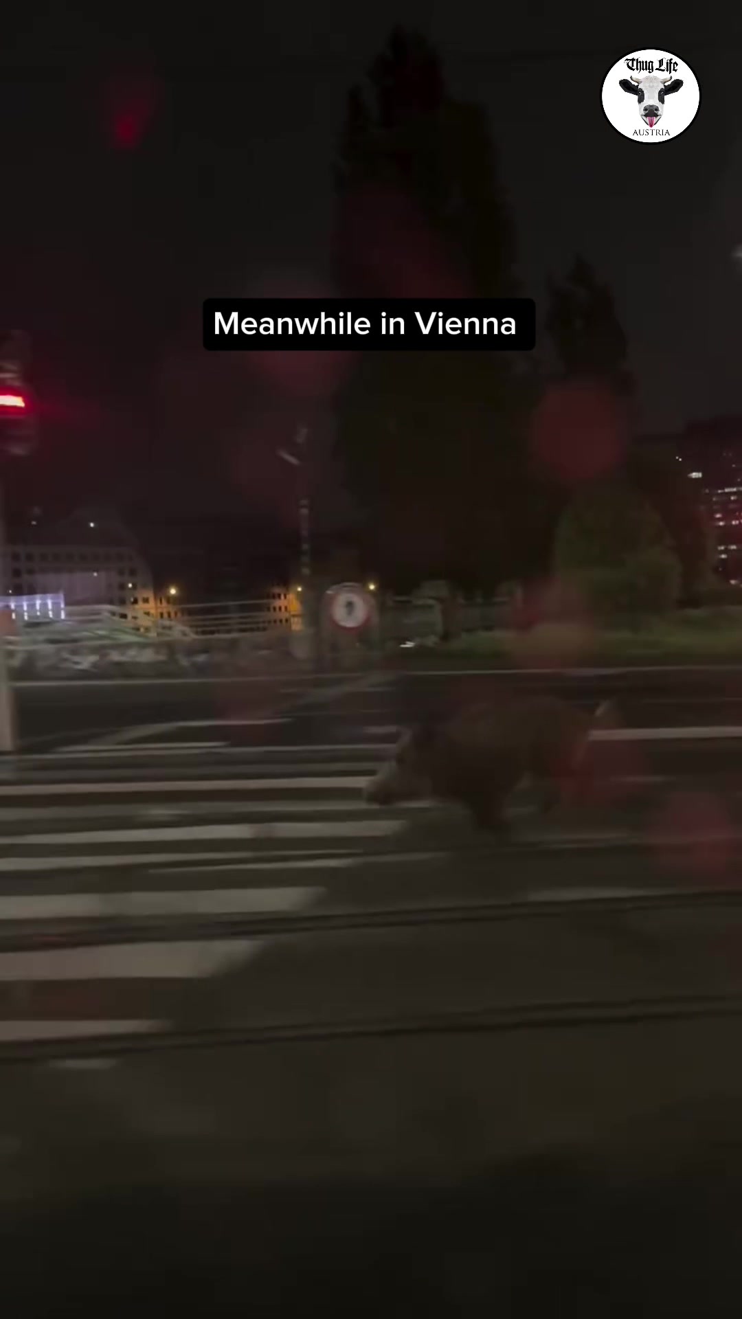 @Thug Life Austria