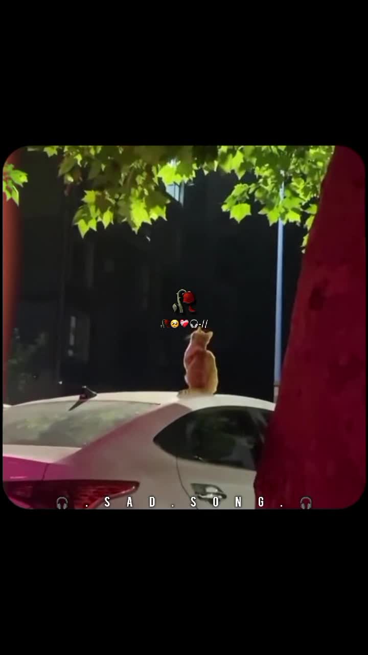 @𝐒𝐨𝐧𝐠.🎧