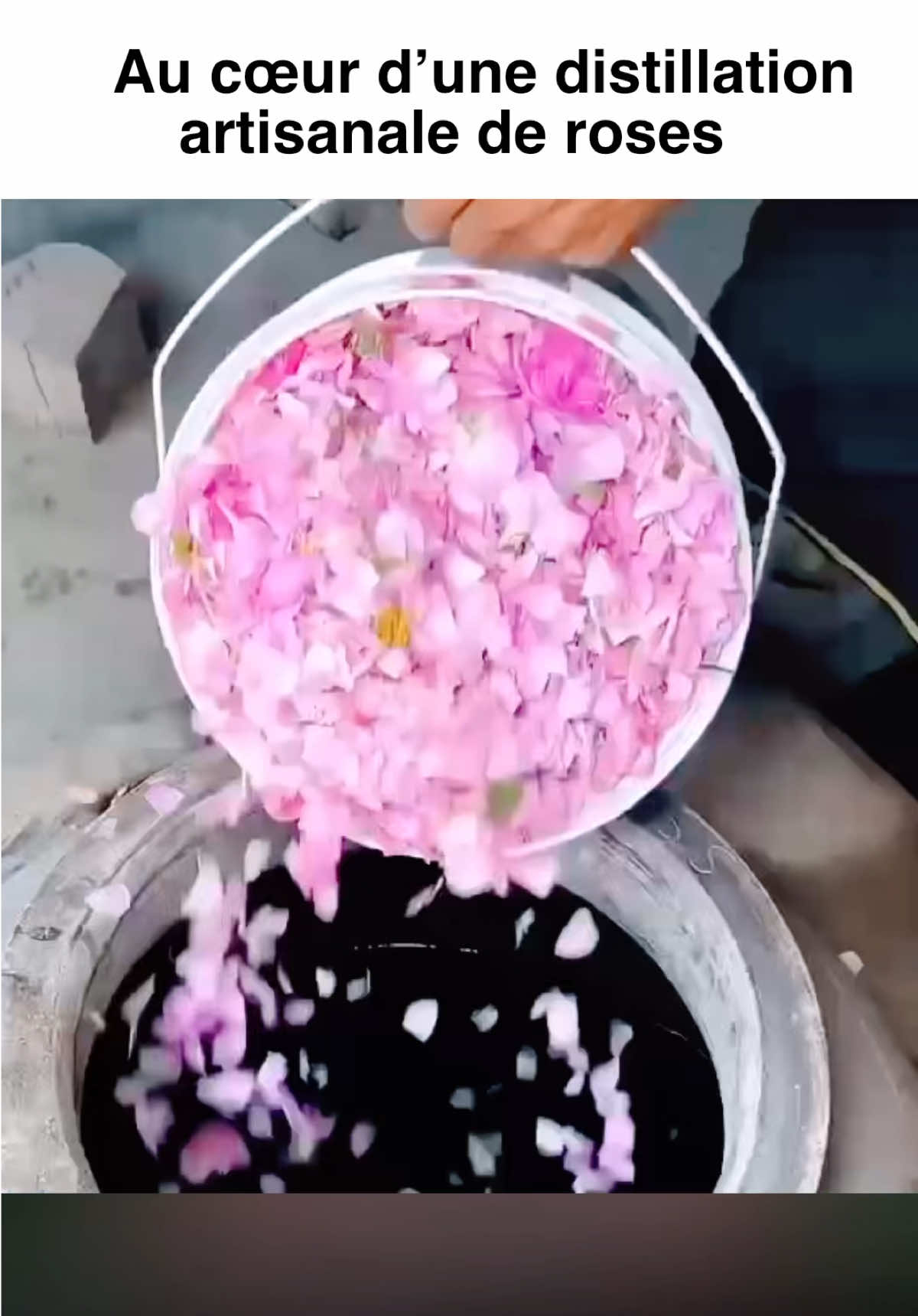 @Learnifymore