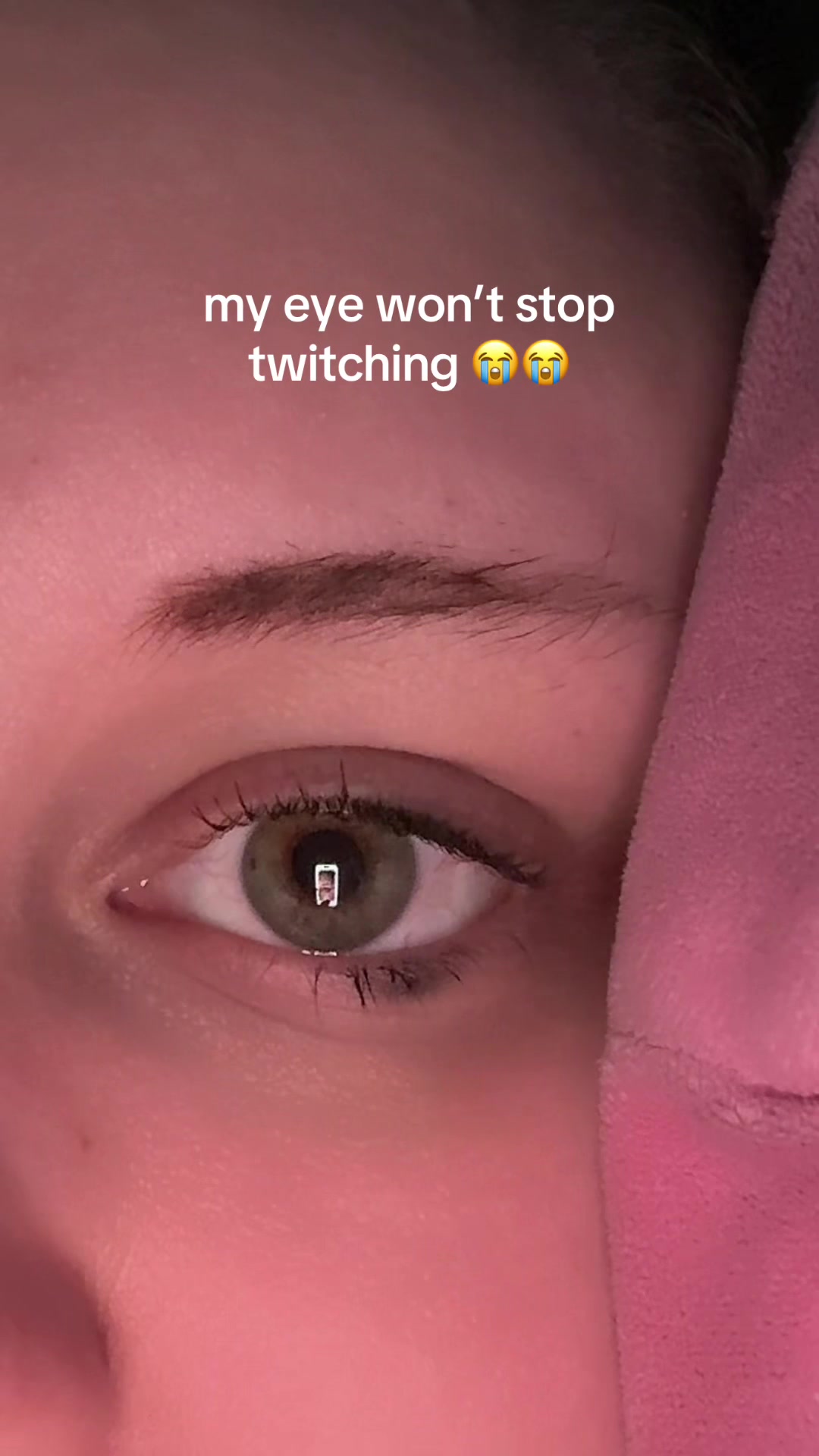 @bug