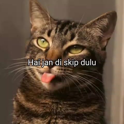 @cikal_mainroblox2