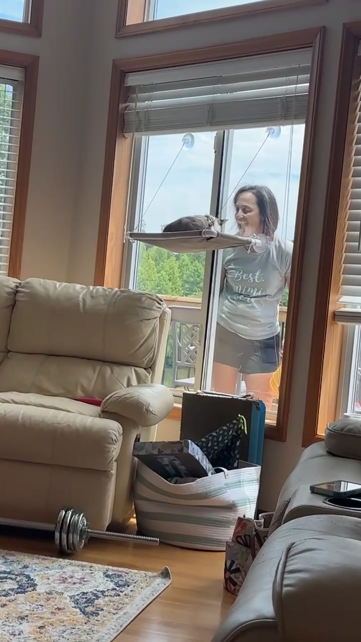 @bellkittiesmom
