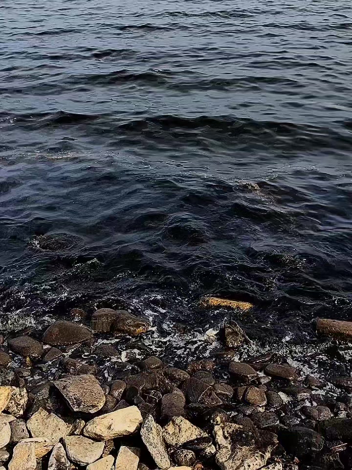 @꧁❀✰🅔🅛🅨🅐✰❀꧂