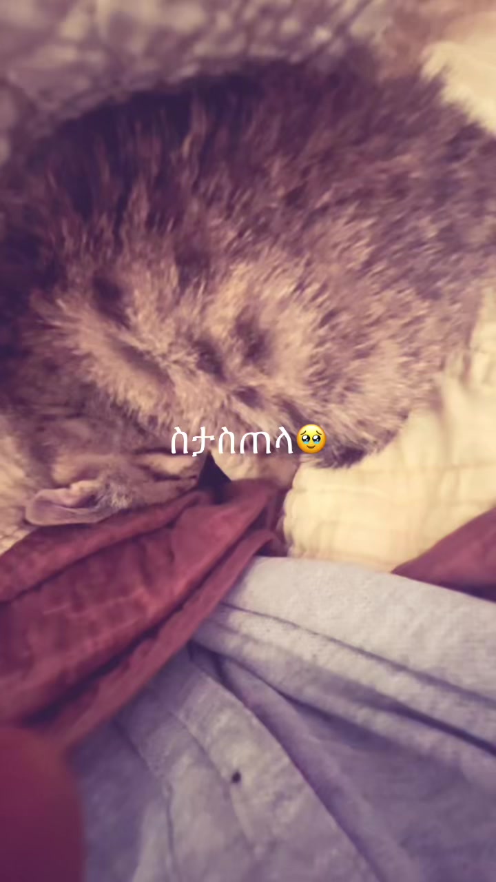 @╰duna╯