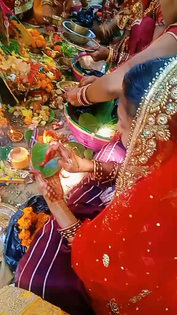 @sohilbhandari70