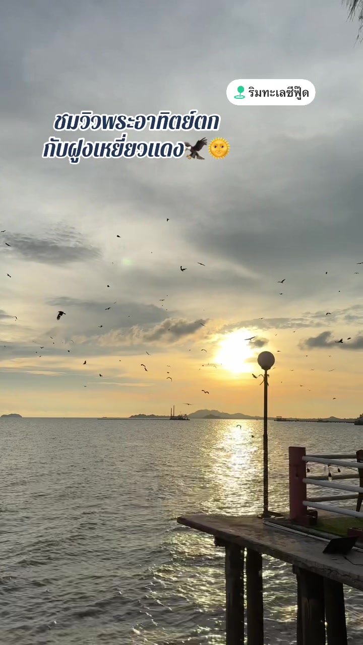 @ᘉᗩᘻᓍ🌻꜆꜄ ♡‧₊˚
