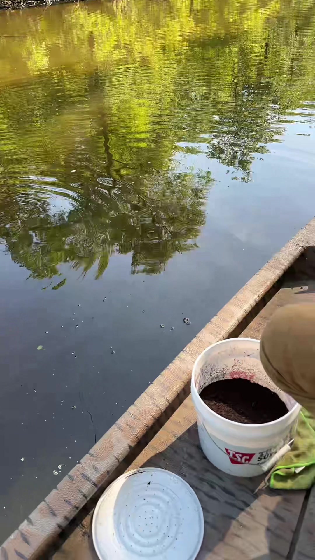 @classy.carroll