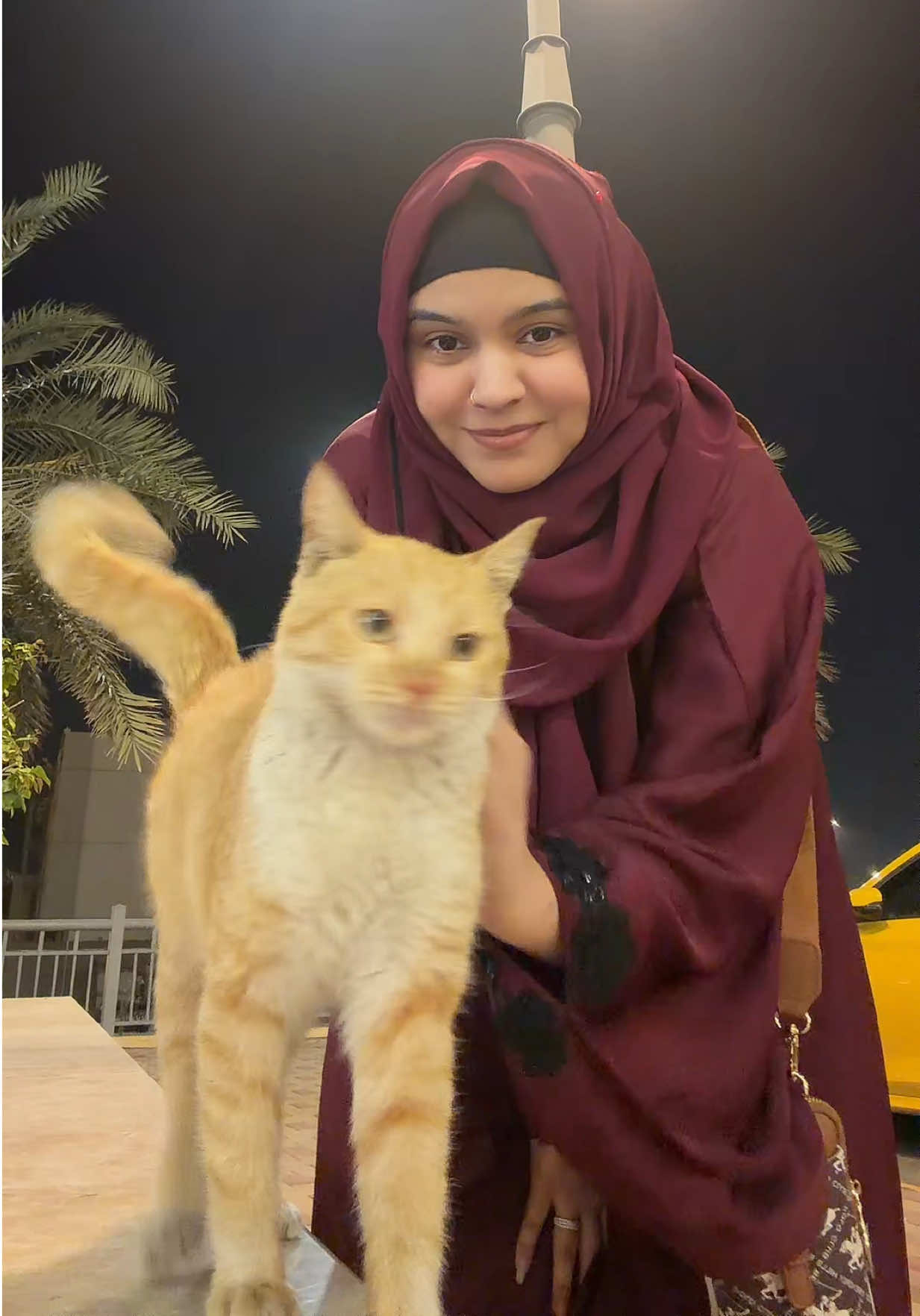 @laibii