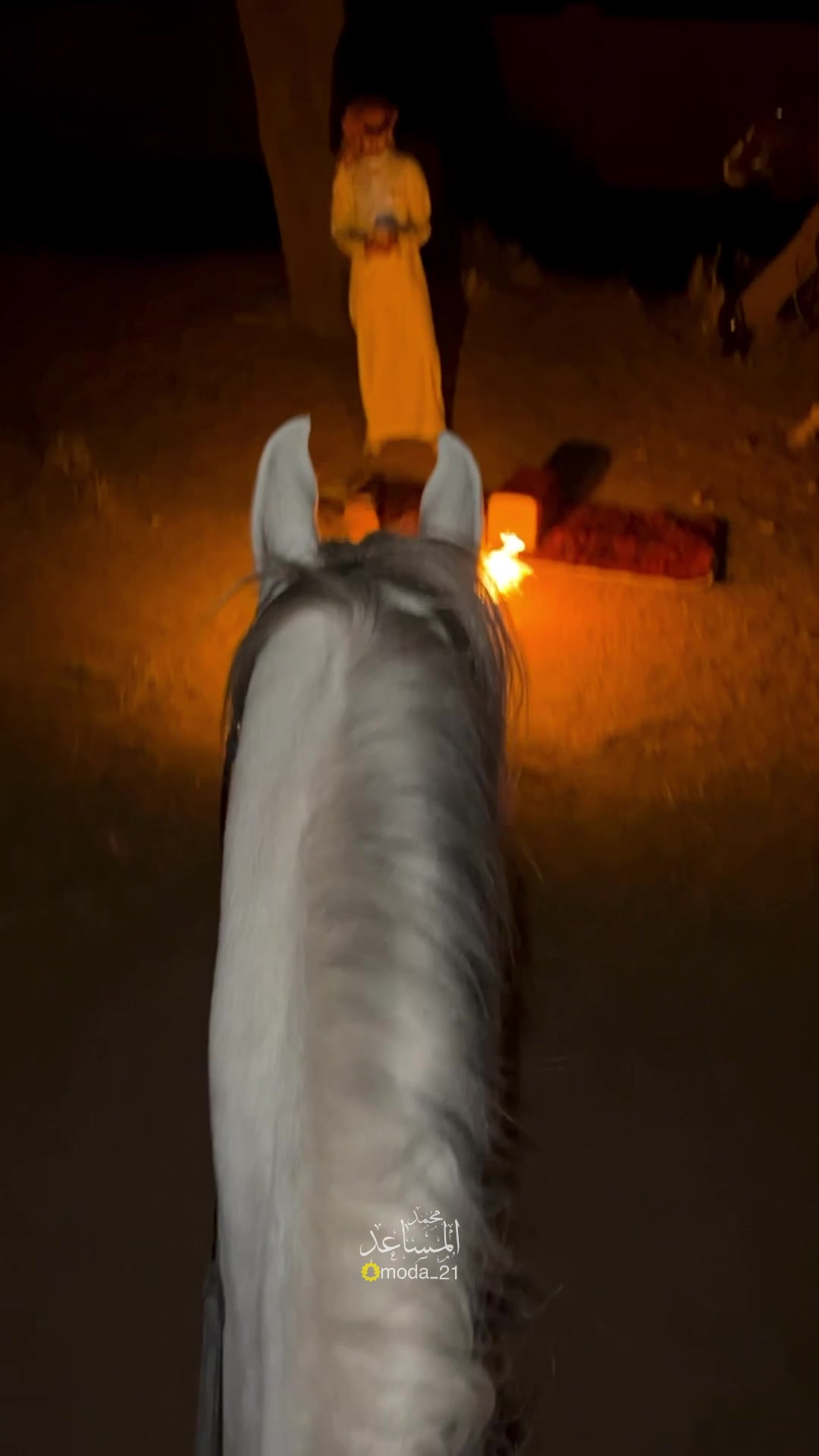 @محمد المساعد🐎📸