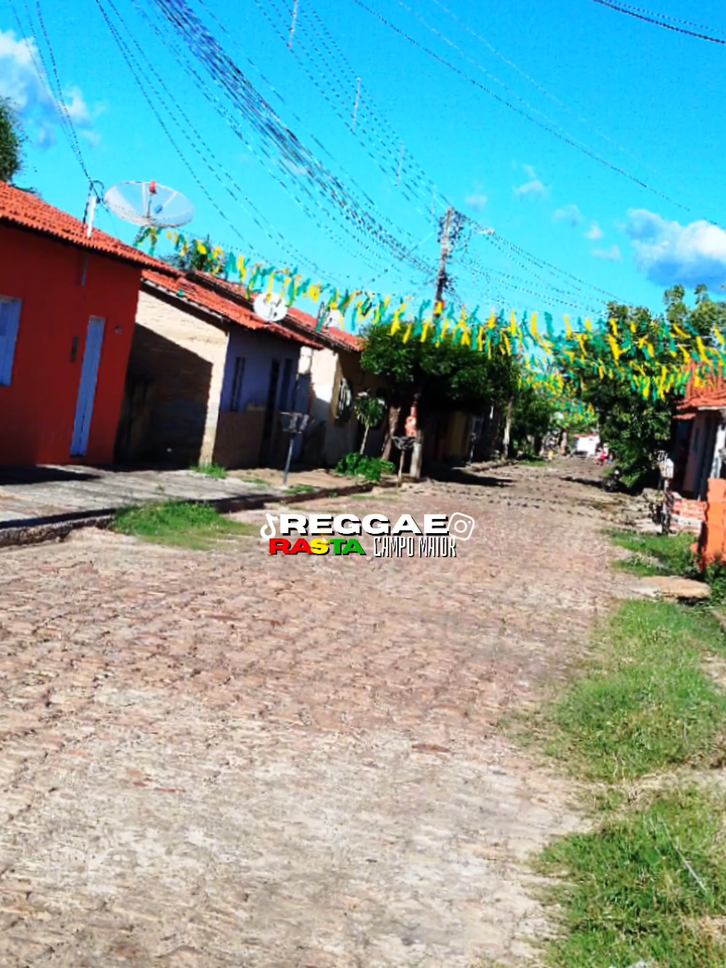 @REGGAE RASTA CM