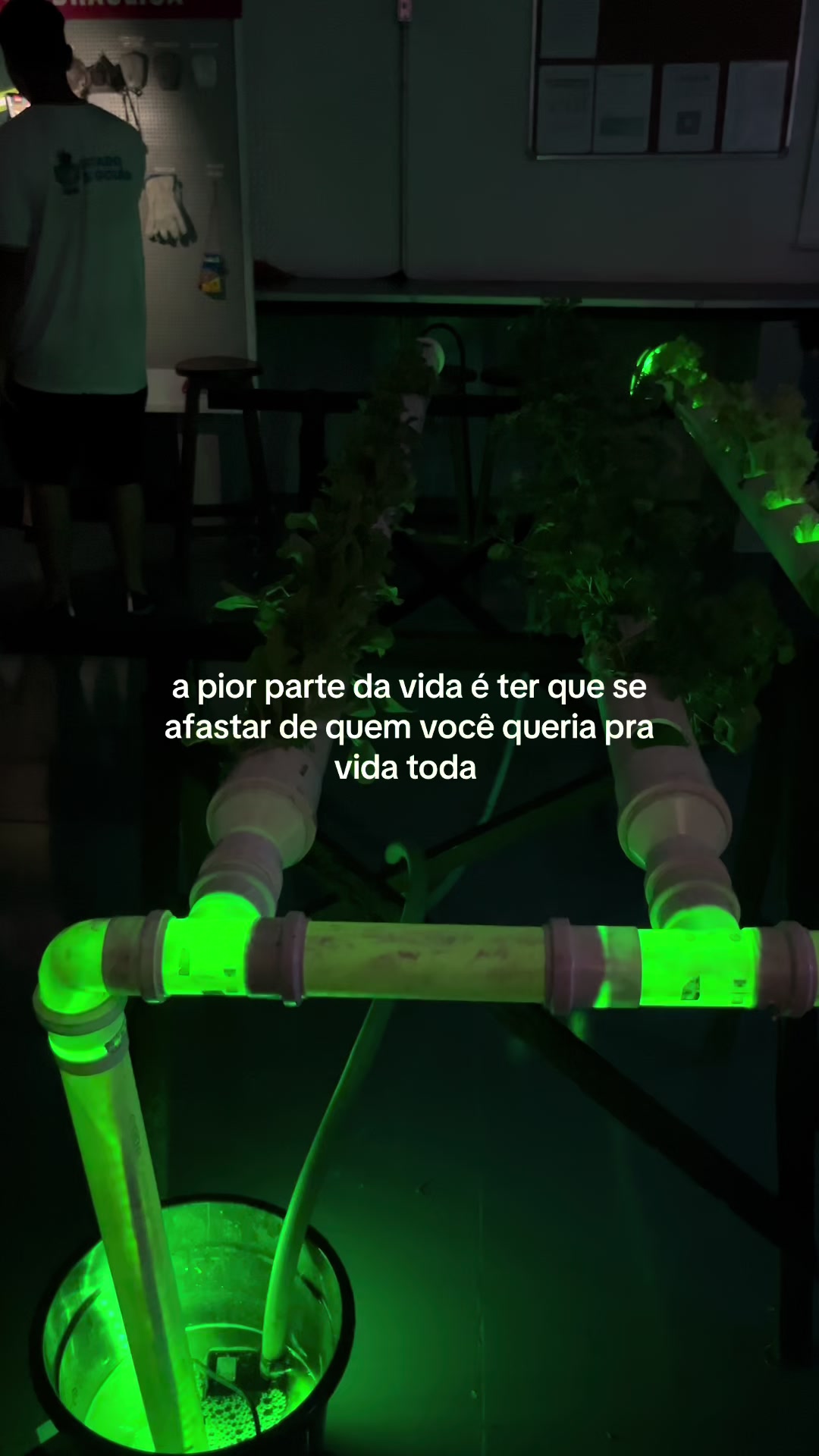 @yarinha