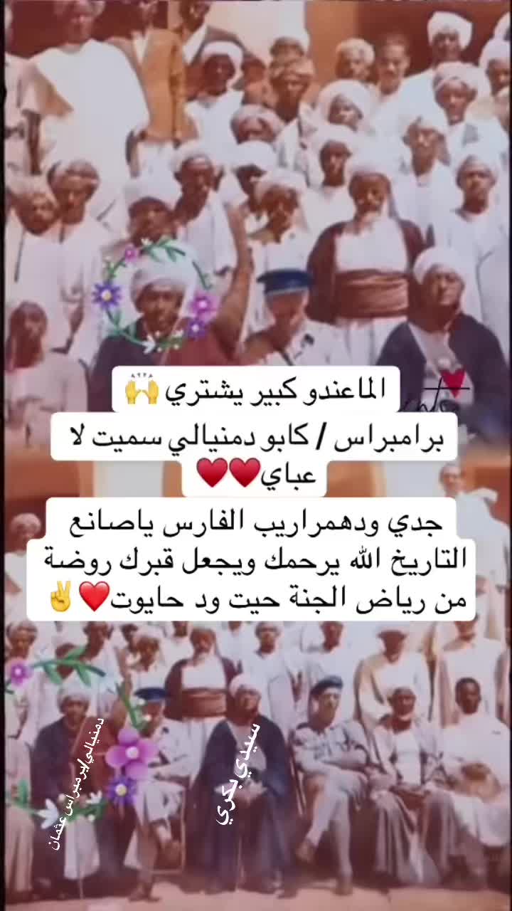 @Kallafakta/ولت برمبراس عثمان🌿