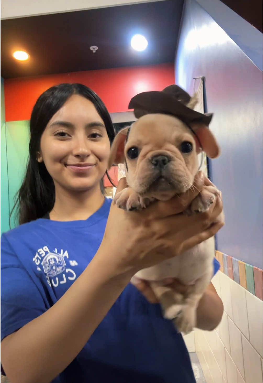 @All Pets Club