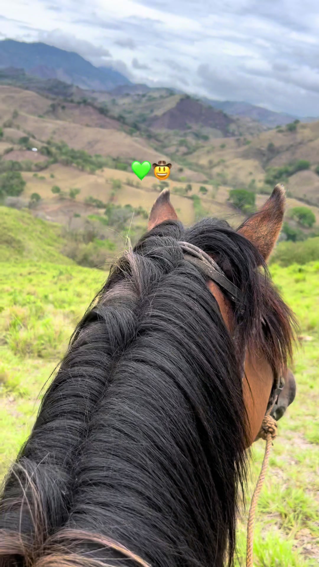 @_Ingeniero_Zeledon🤠🍀🕺
