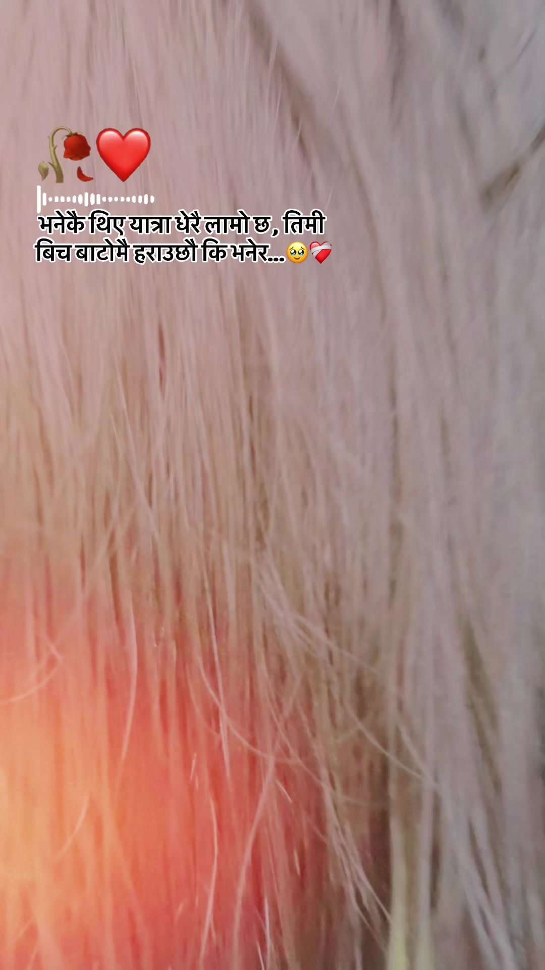 @Manisha Sharma