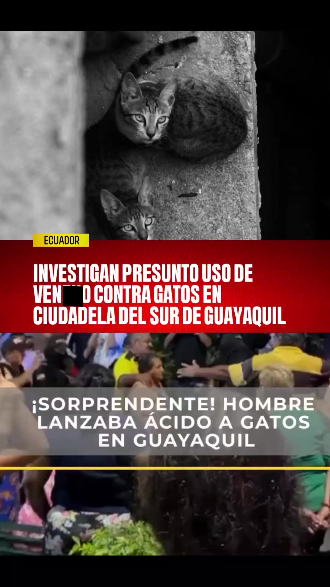 @Guayaquil donde nací