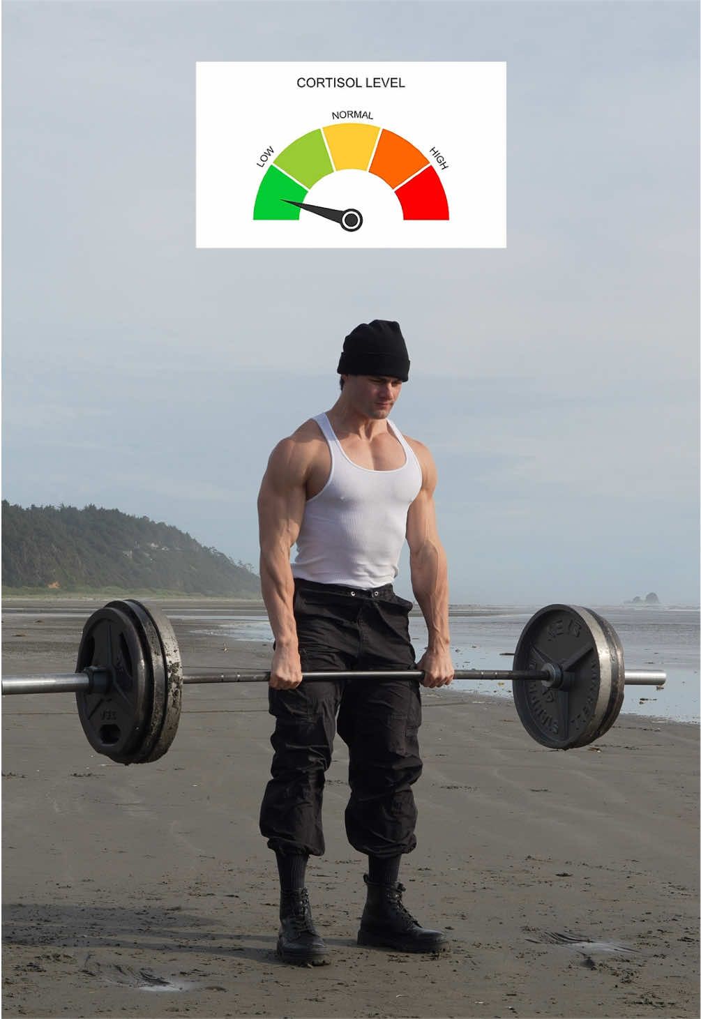@Jeff Seid