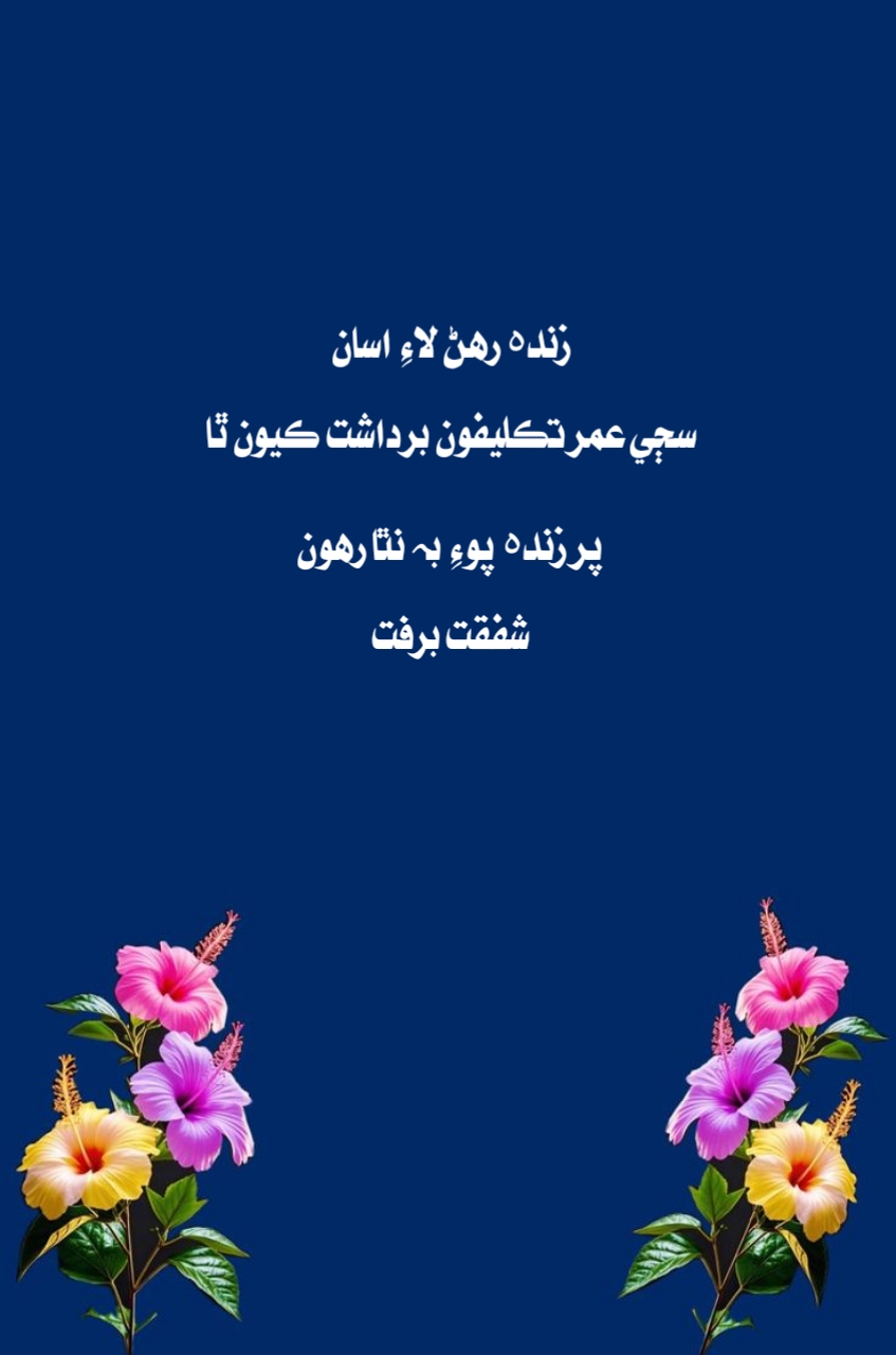 @shafqat burfat