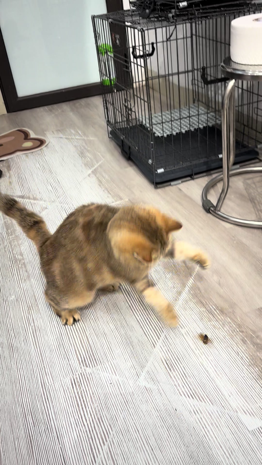 @PetHouse - Thế giới Pet
