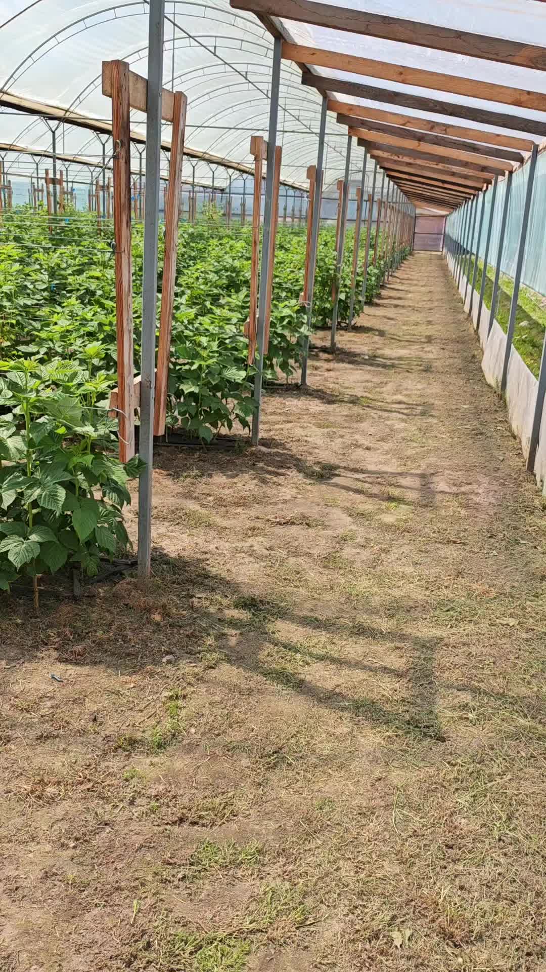 @Елена Карпук🇧🇾