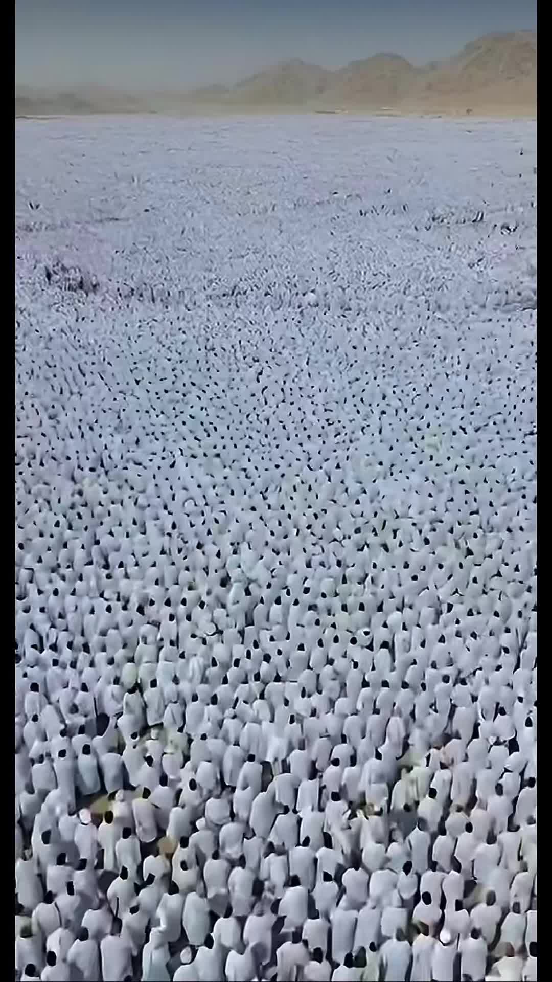 @Sediqullah 🇦🇫🇬🇧