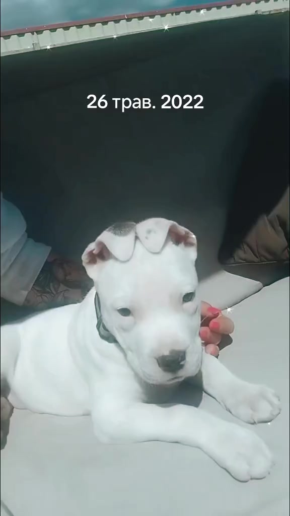 @AST_BELLA🎀