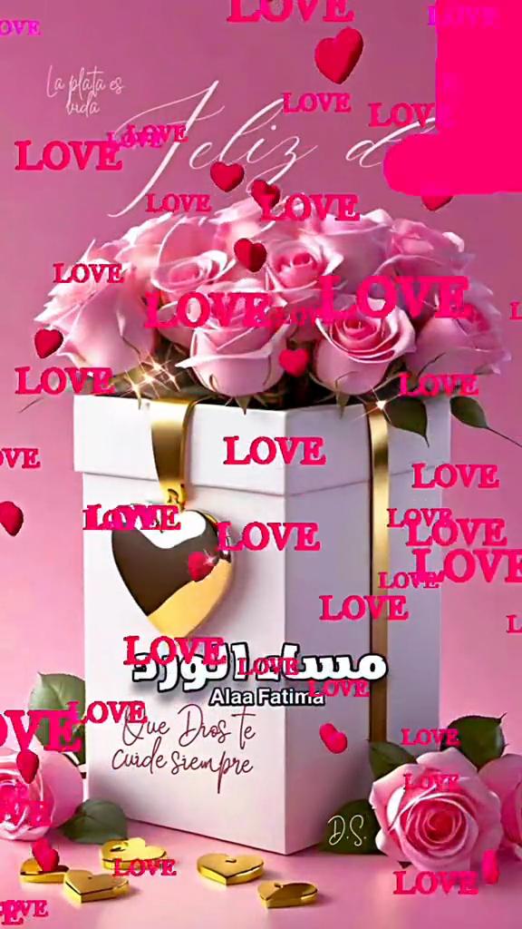 @Alaa Fatima
