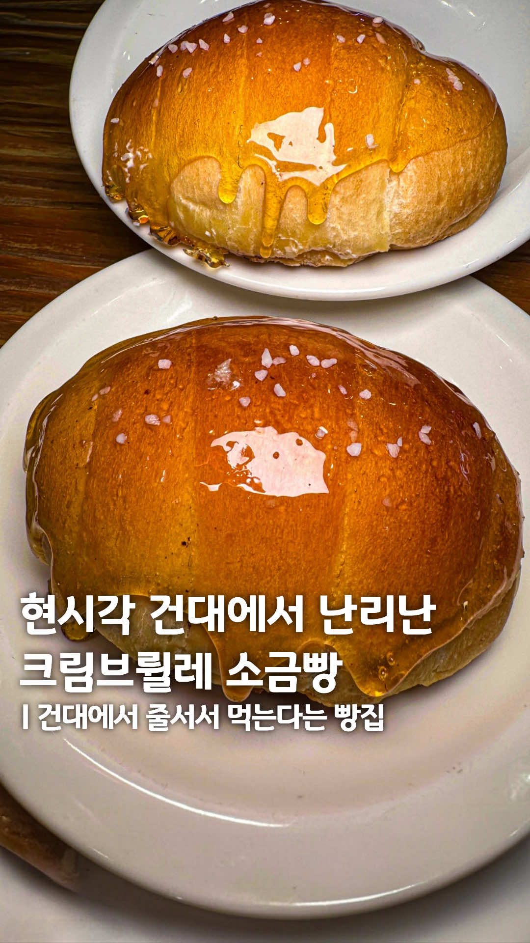 @맛탐견