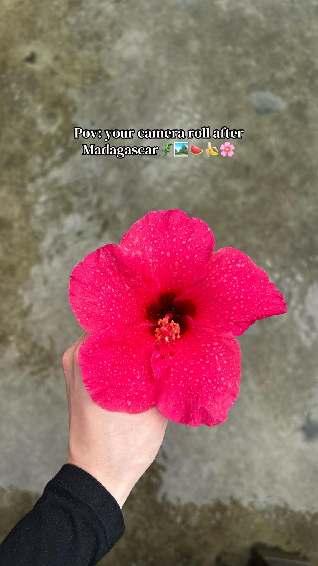 @TEA