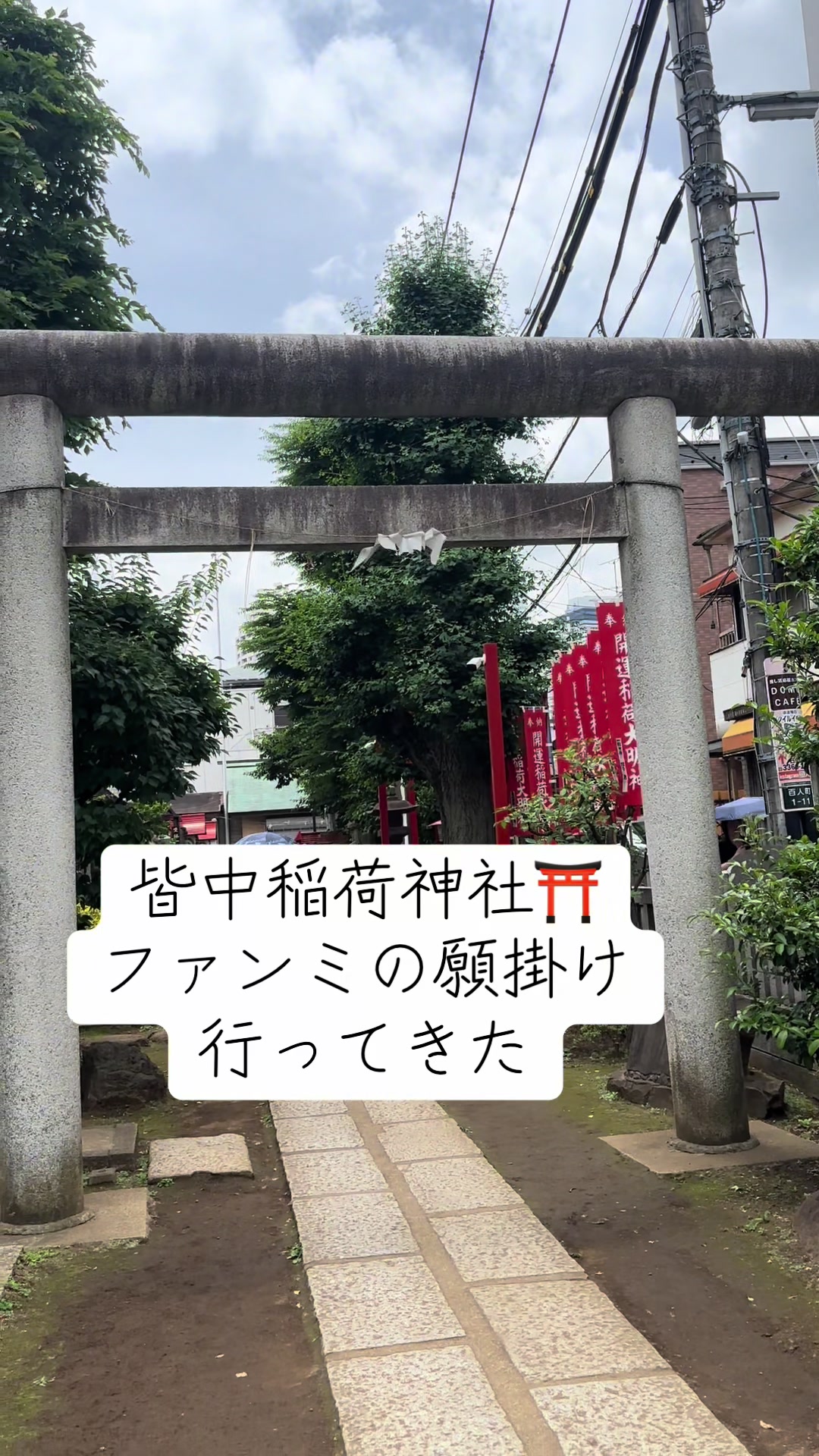 @しょーこ