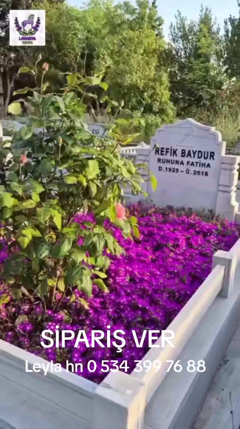 @Lotus bitki satışı