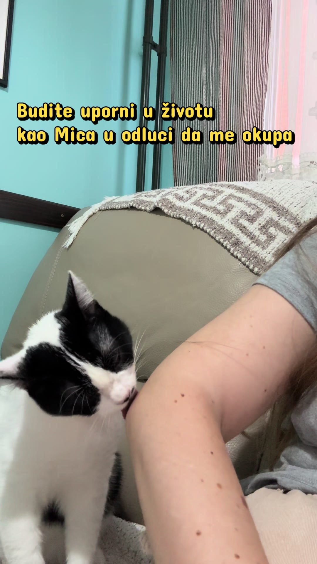 @Srećko & Rista 🐈&zwj;⬛