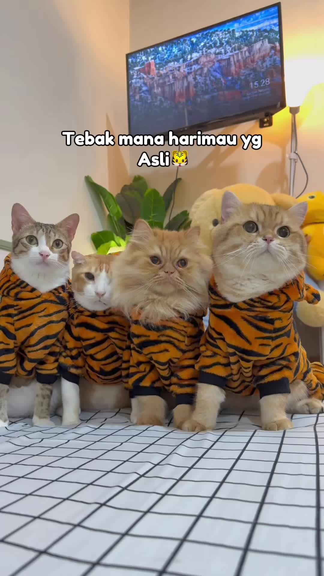 @drh. Ricky Halim dan Sashi