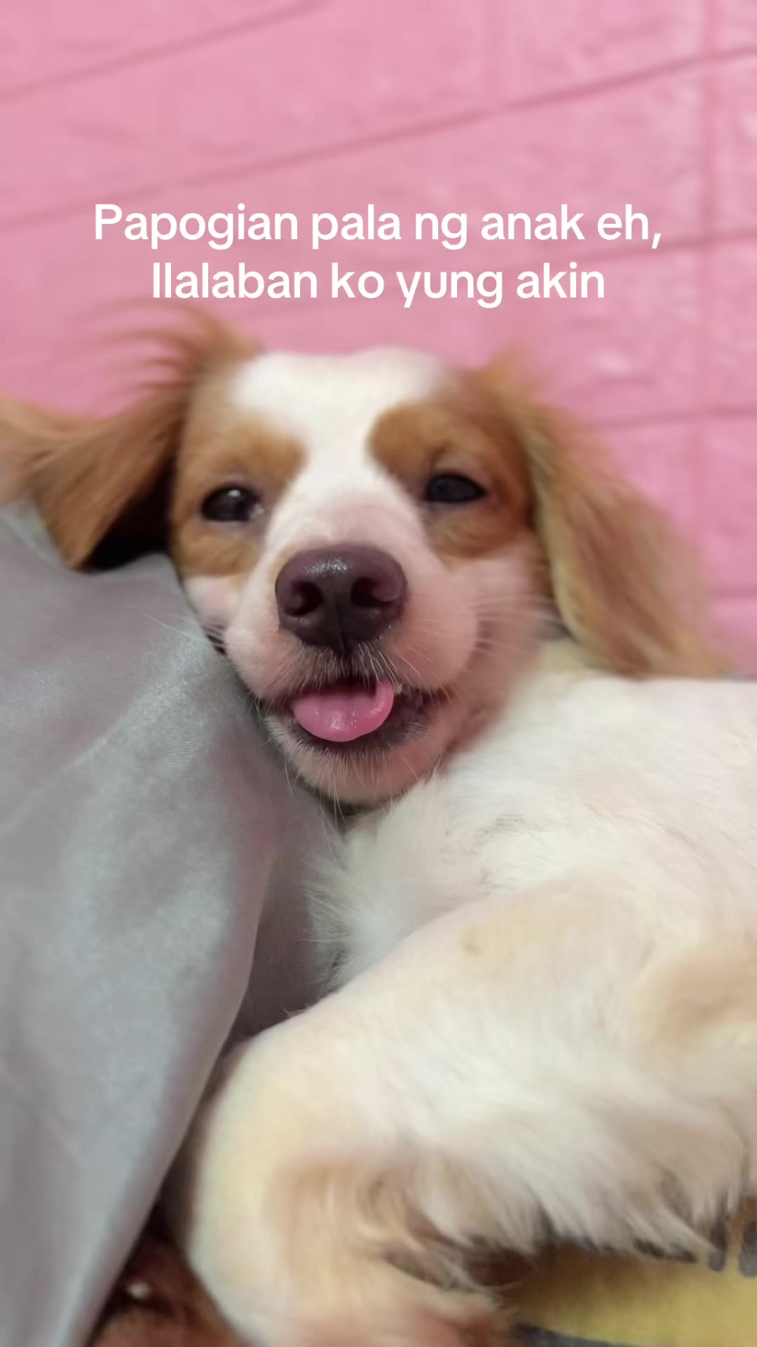 @kimkimᵕ̈