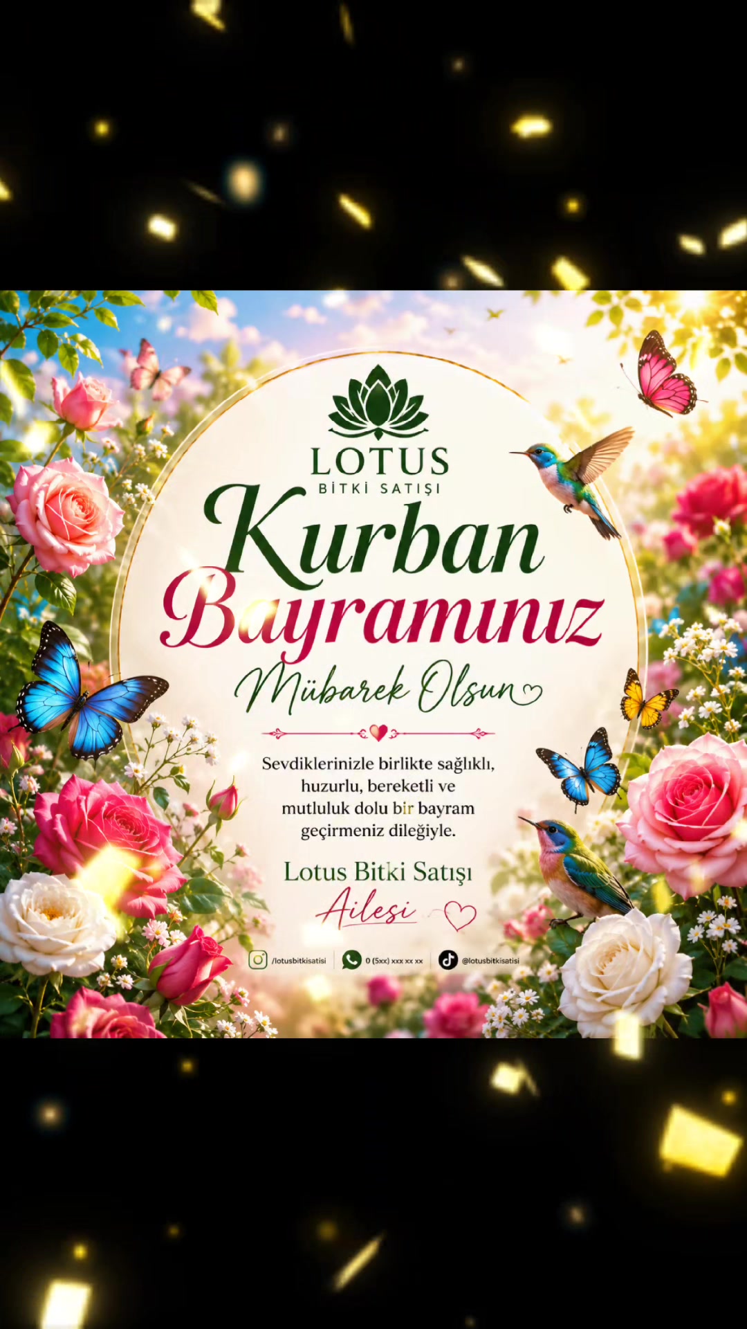 @Lotus bitki satışı
