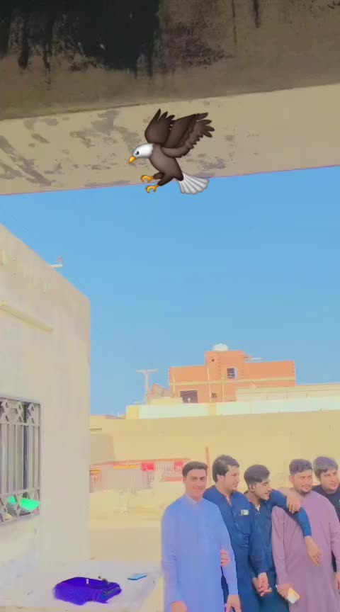 @قيدى نمبر 804🦅