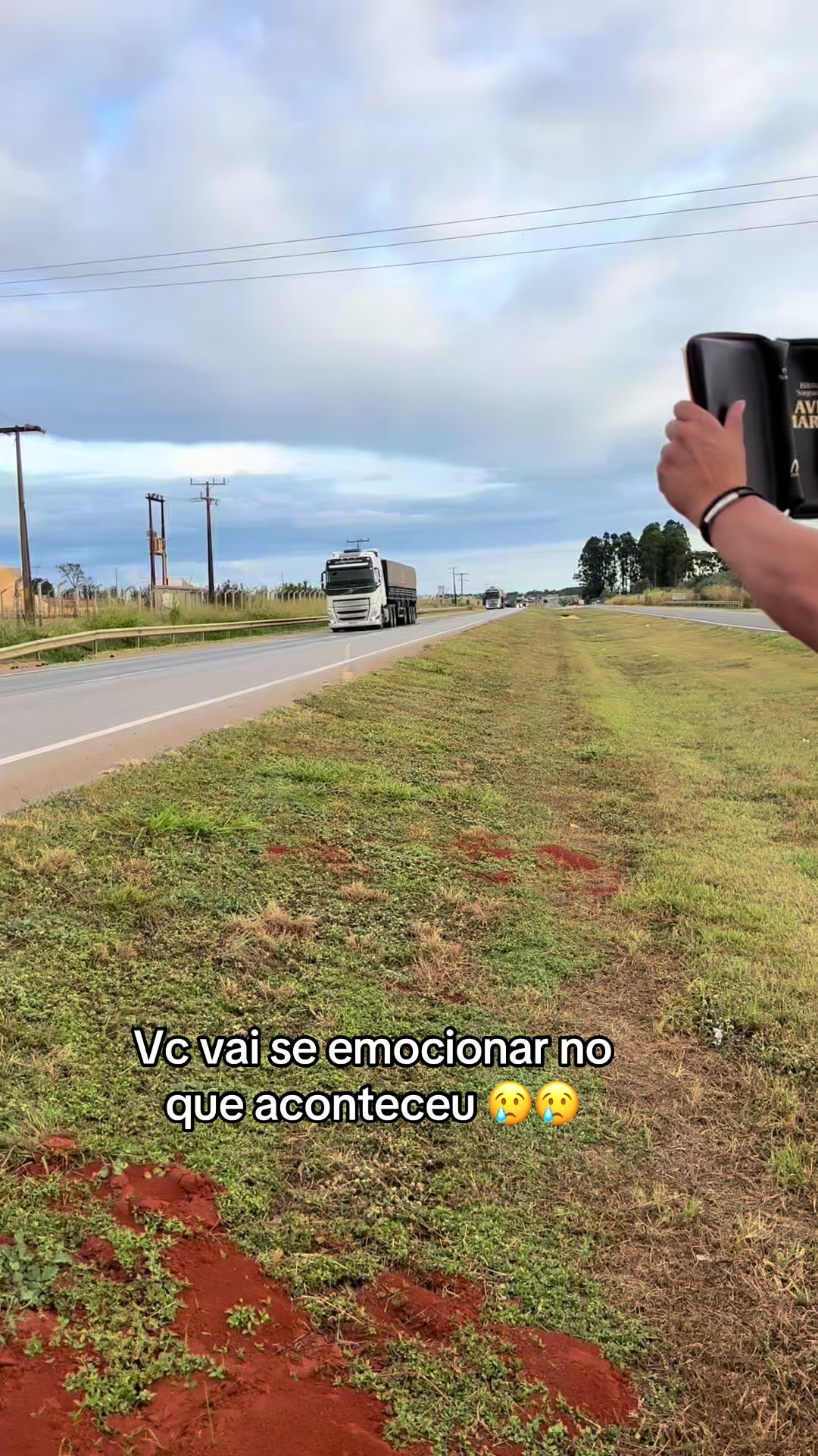 @Nan&aacute; e Dandan