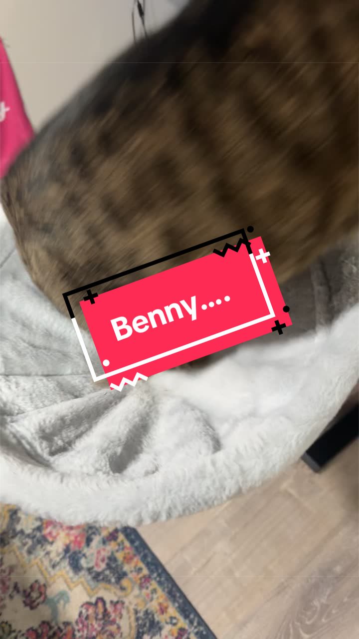 @MrsBeatleJuice