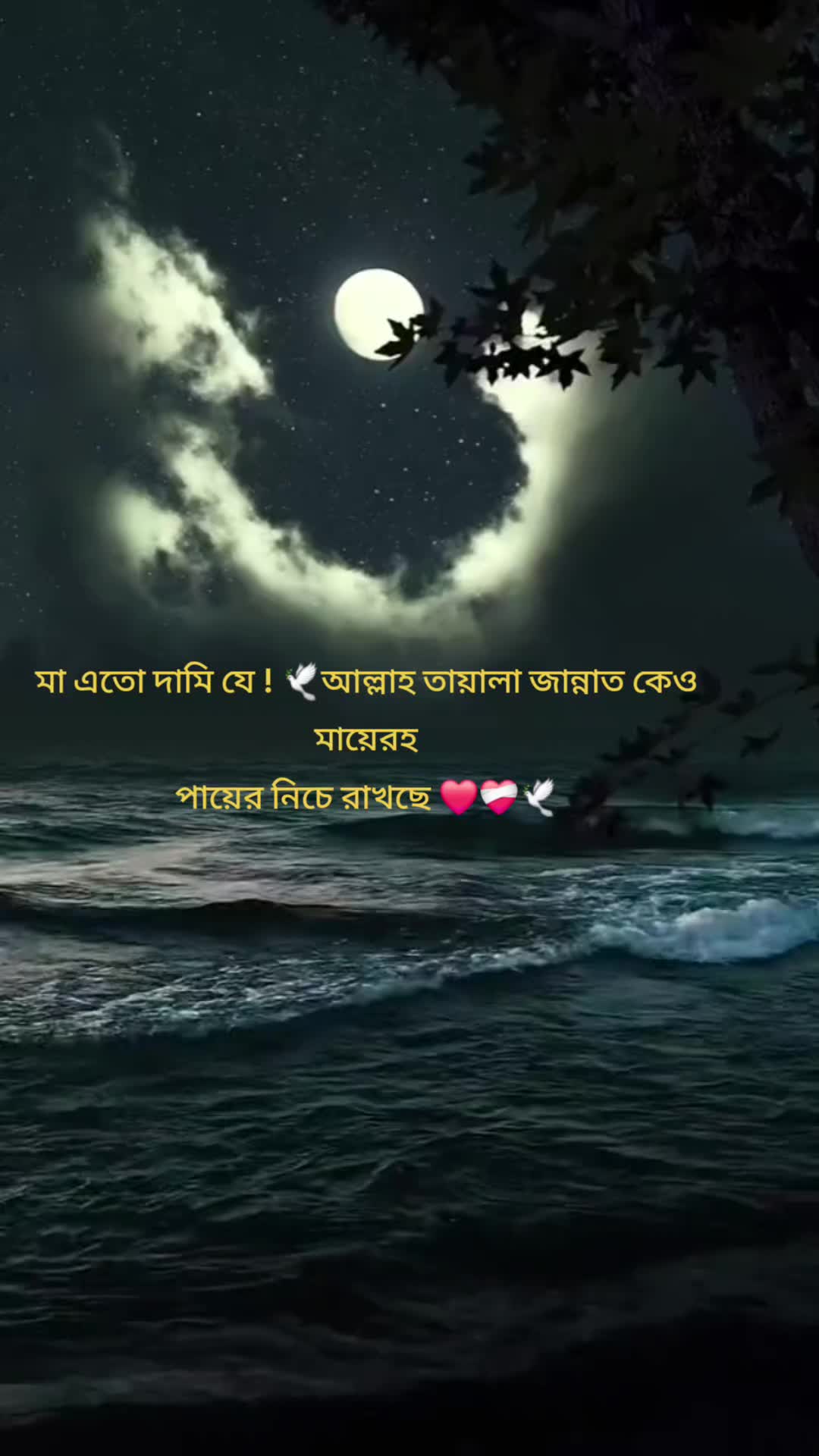 @মায়াবী ১১১