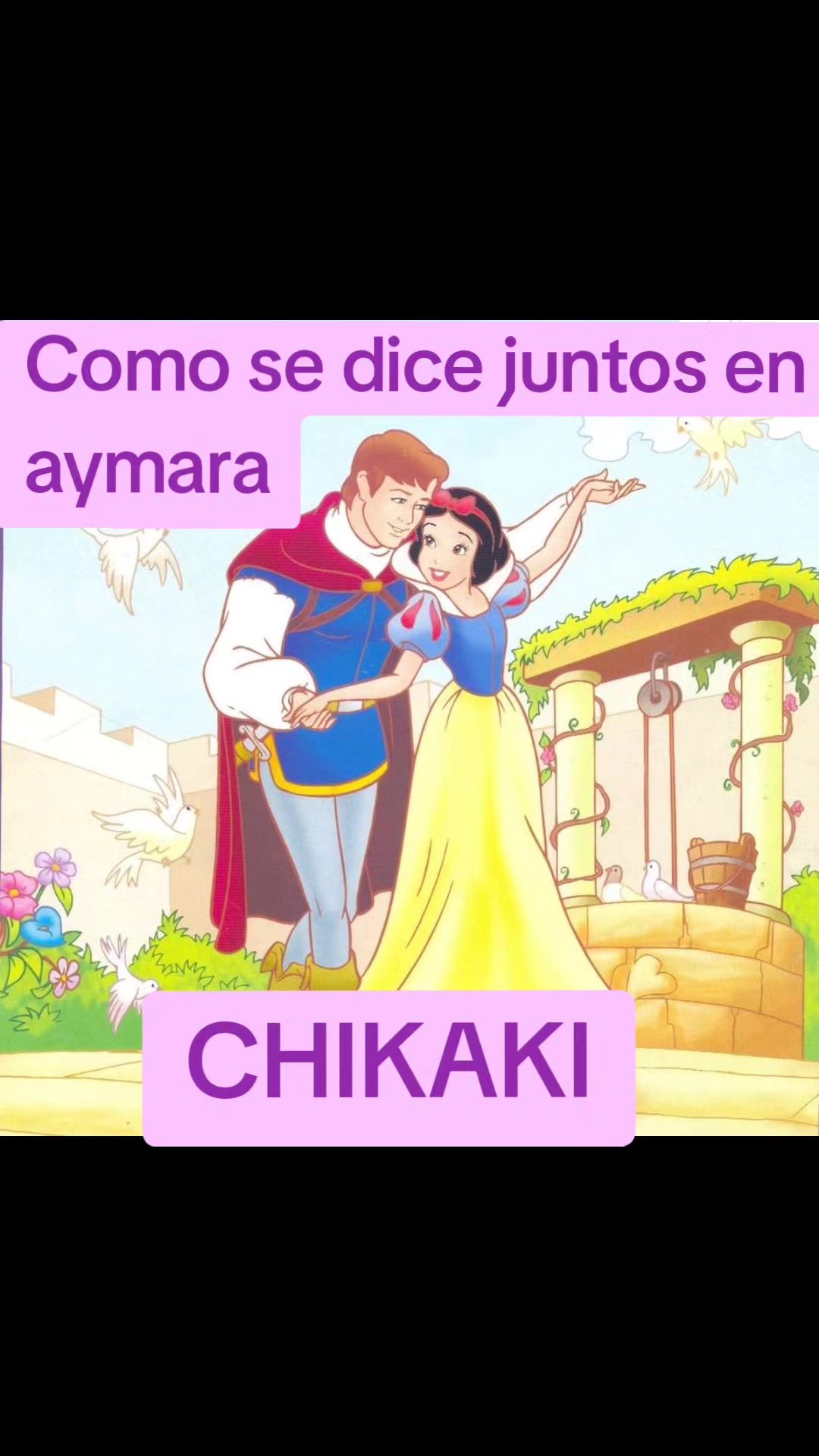 @Rosa Rosa