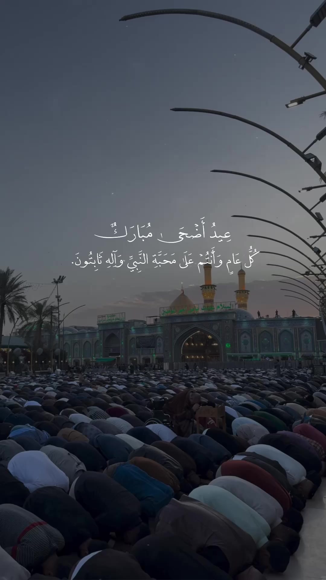 @لـ أُمِّ أَبِيهــا || ١٤٢٢ هِـ
