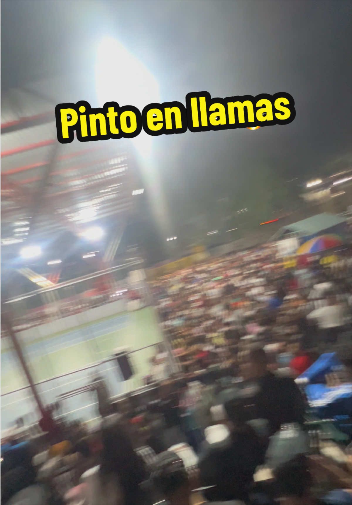 @untalchino_
