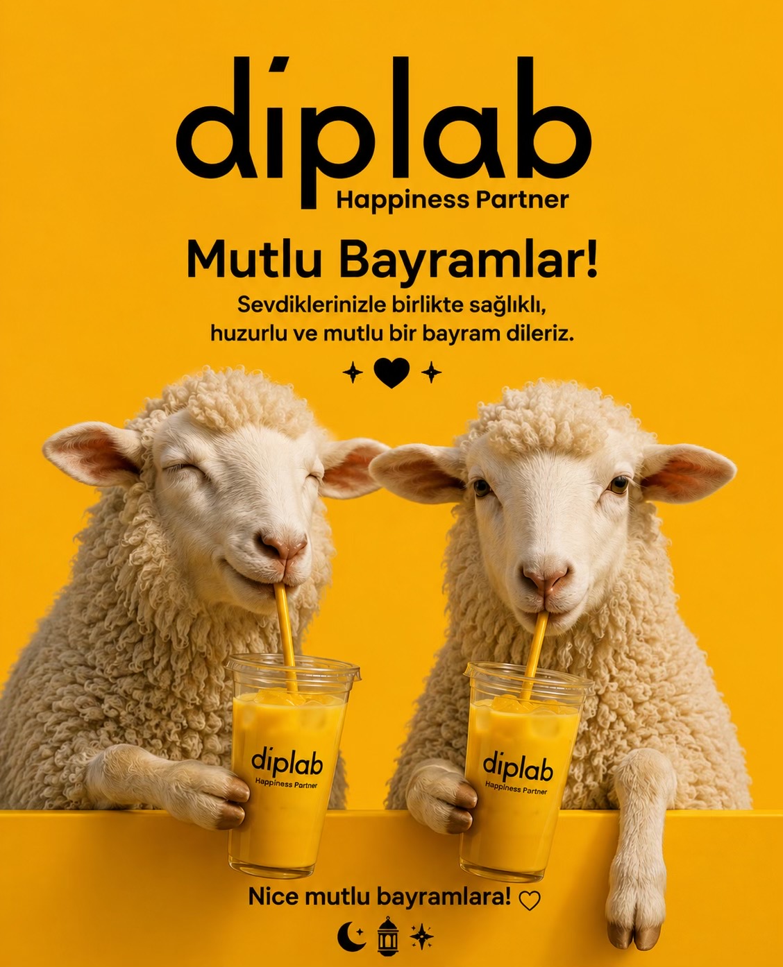 @diplab Türkiye