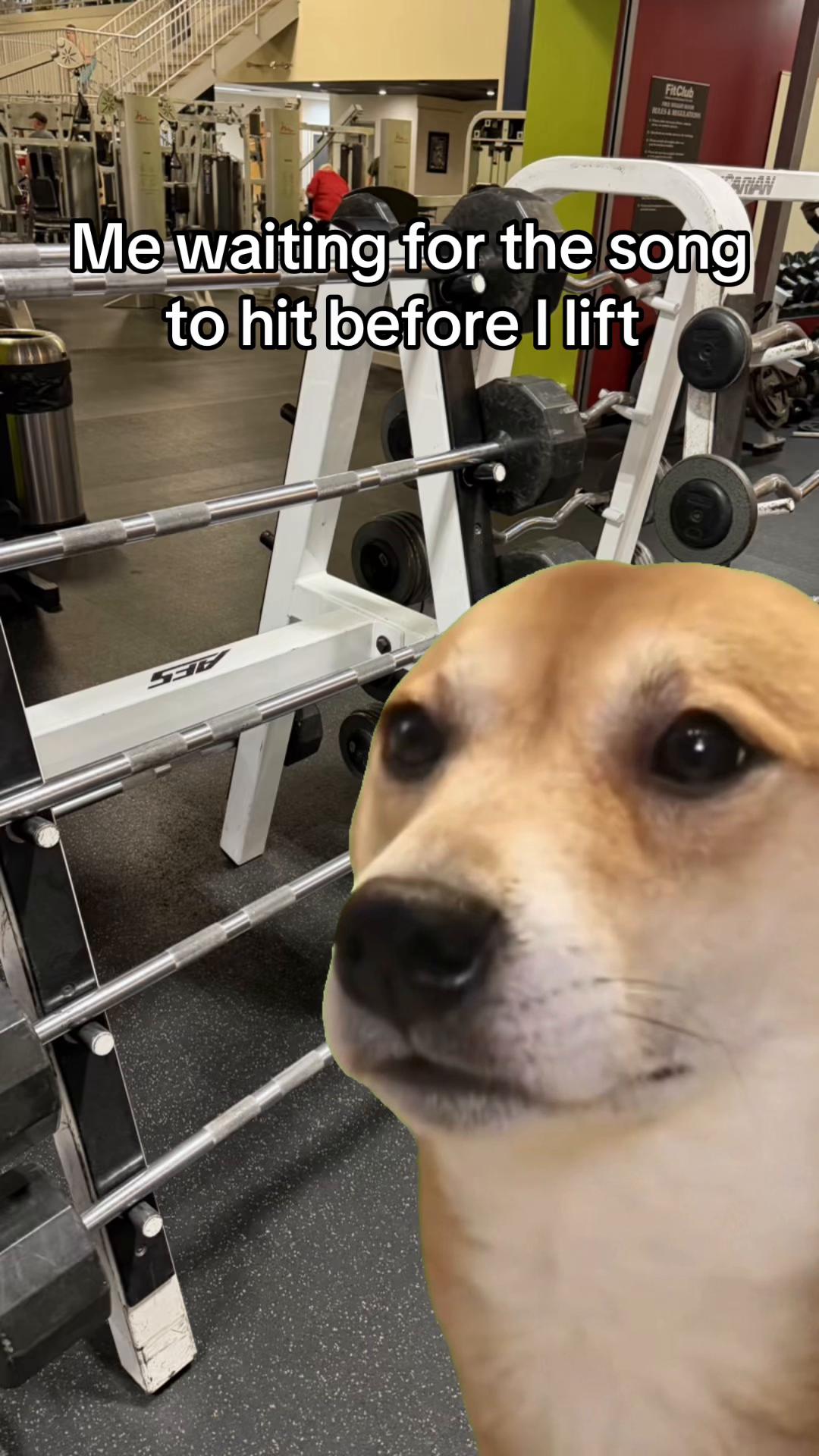 @Fit Club