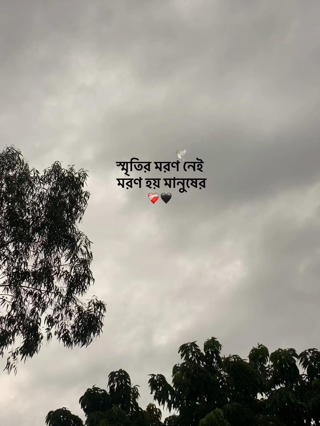@𝙸𝚂𝙼𝙰𝙸𝙻 𝙷𝙾𝚂𝚂𝙴𝙽