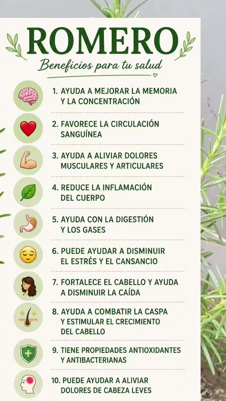 @Mayoli777