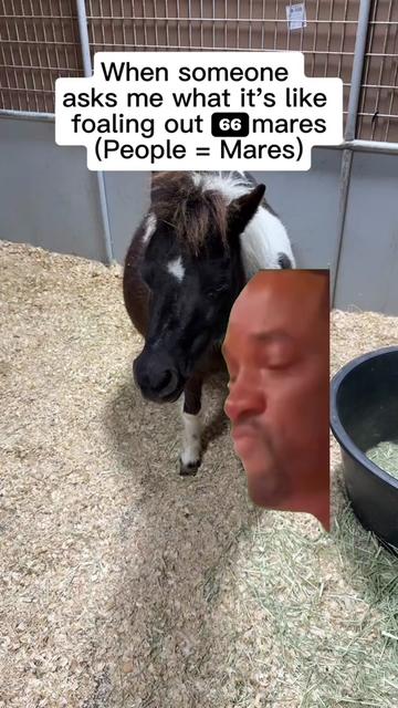 @Dr.Nicole-VetMed