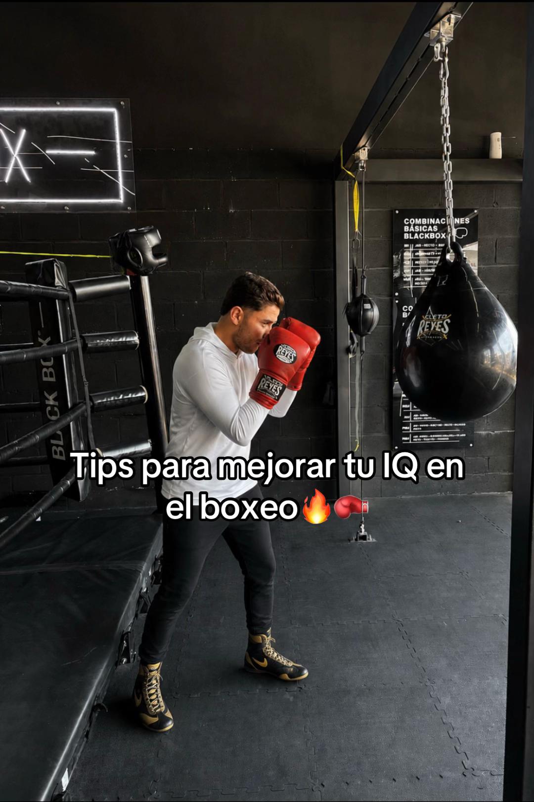 @Modesto nene jr🥊🔥
